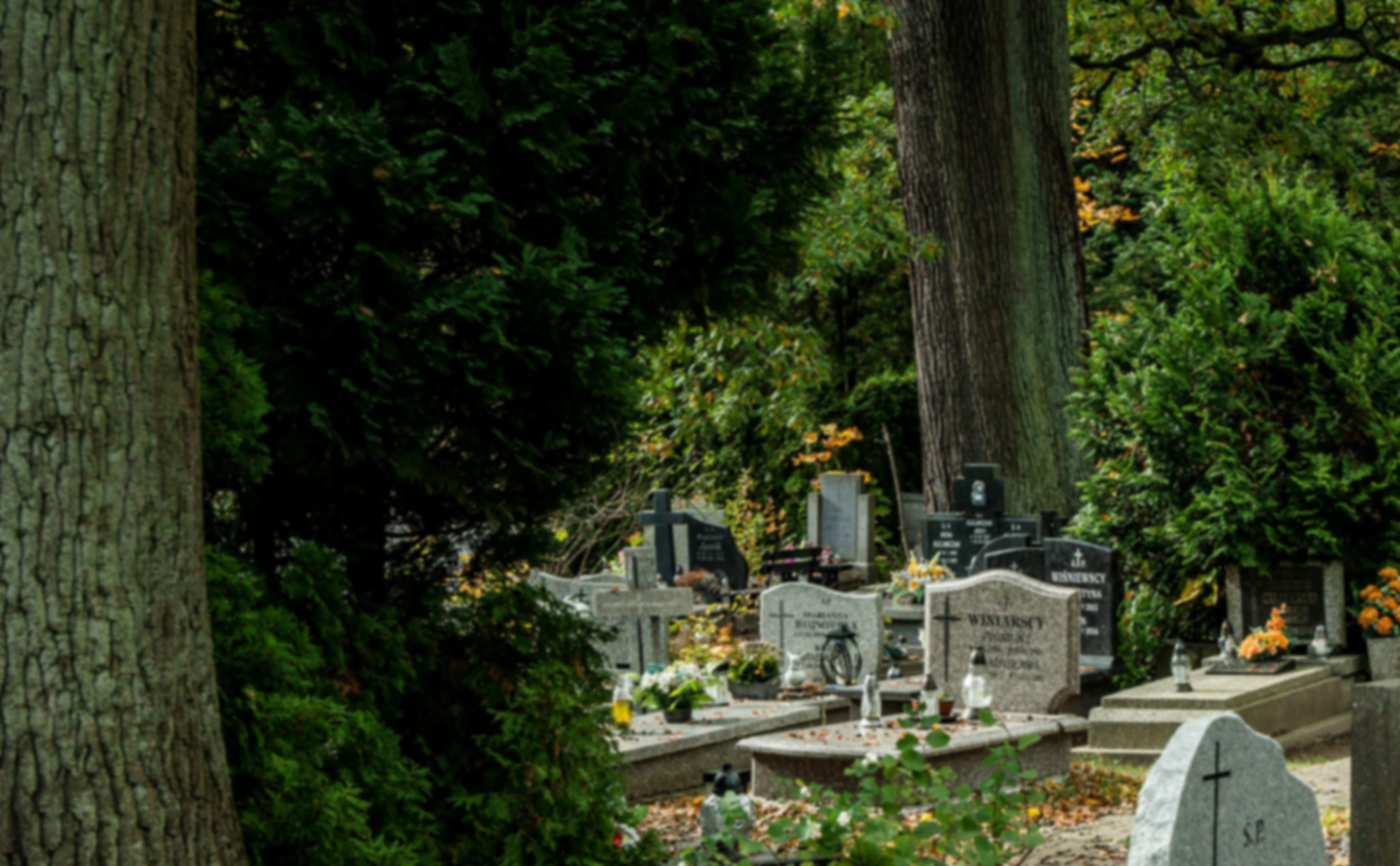 Cimetière en automne avec tombes individuelles entourées d'arbres, illustrant la sépulture d'une personne décédée sans famille en Suisse