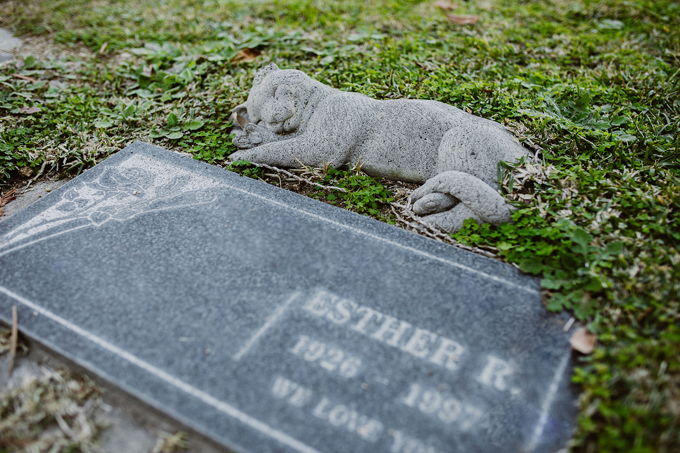 Tombe cinéraire d'un chat