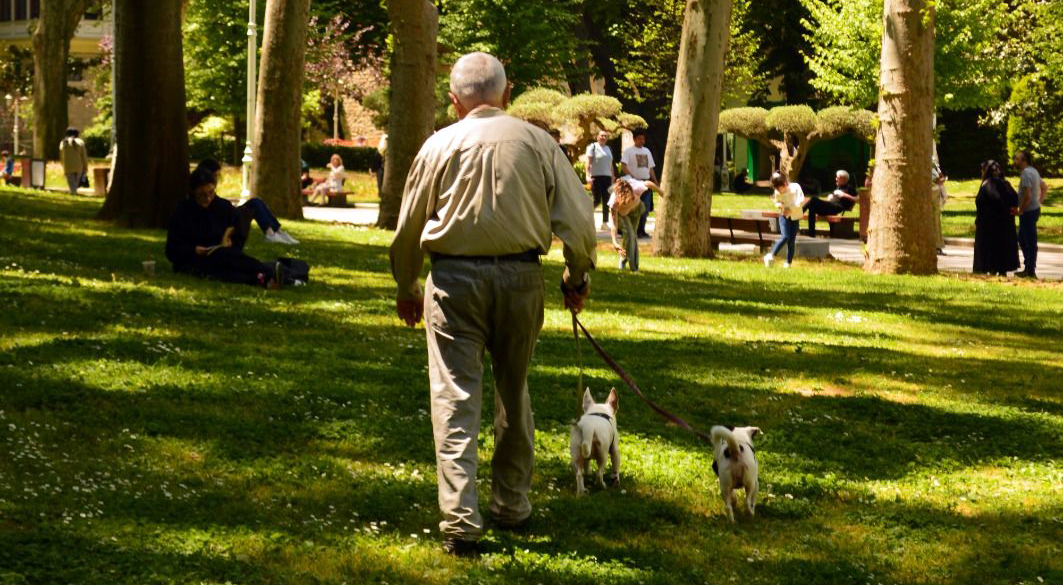 Vieil homme qui promène deux chiens